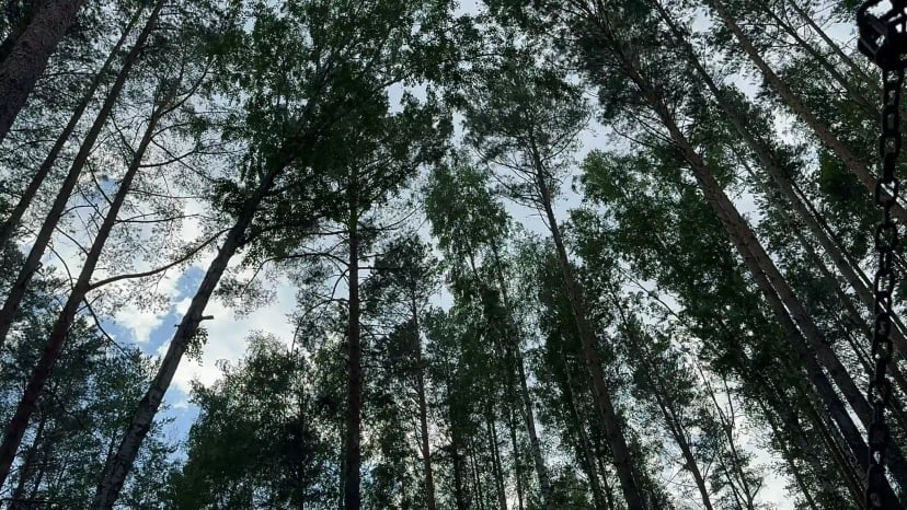 Собственный эргопарк в Клиническом Институте Мозга